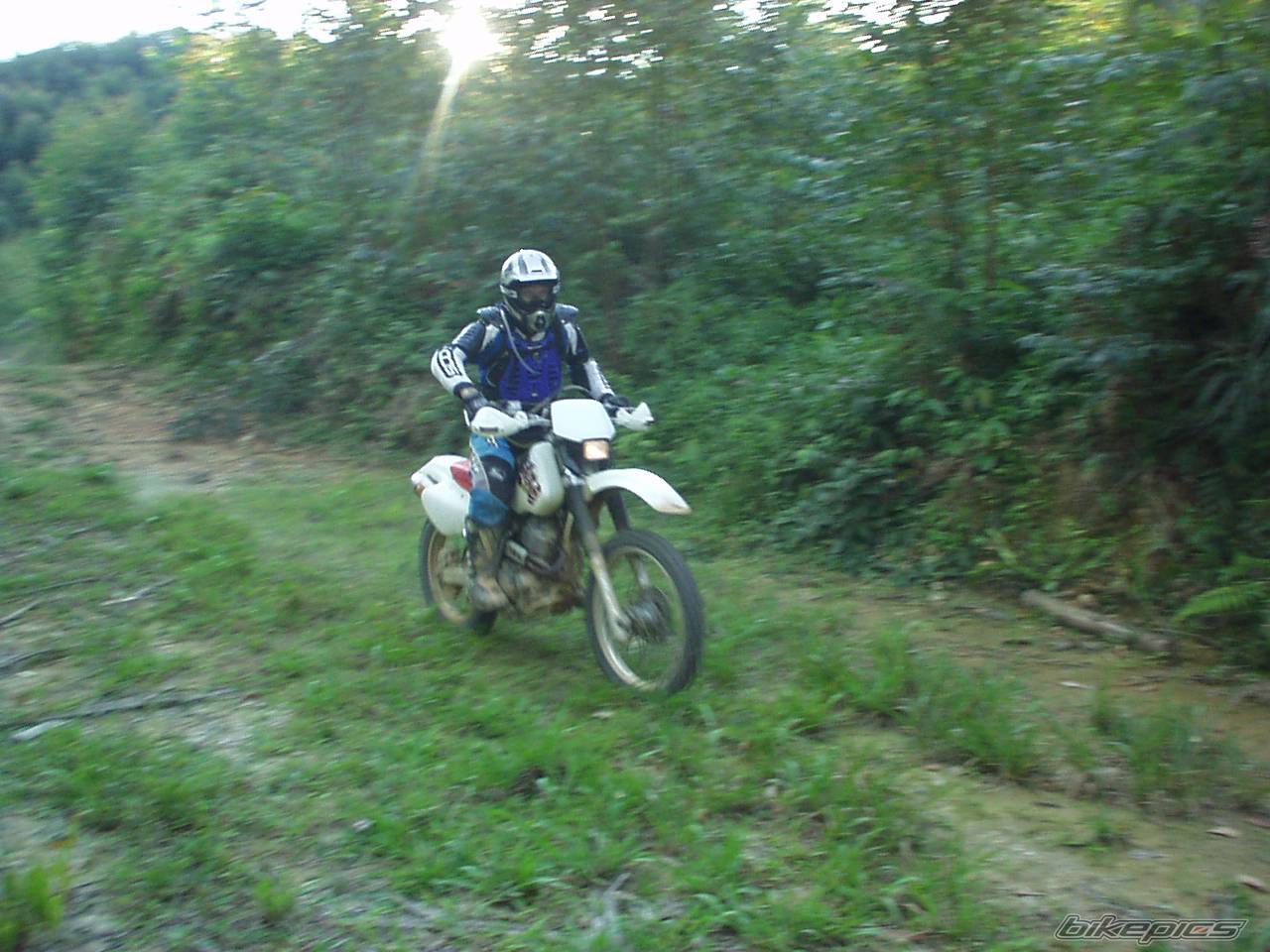 Bike Photo 453305