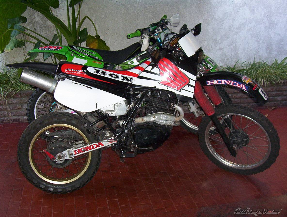Photo 453341