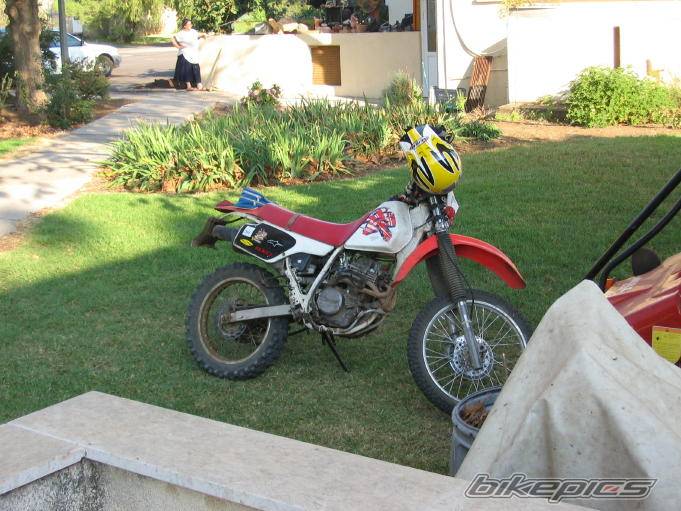 Photo 453423