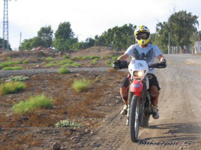 Photo 453426