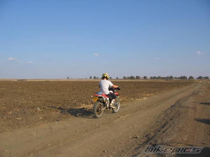 Photo 453427