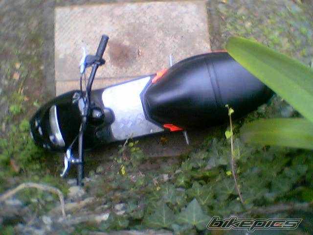Photo 453515