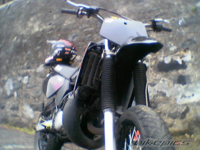 Photo 453522