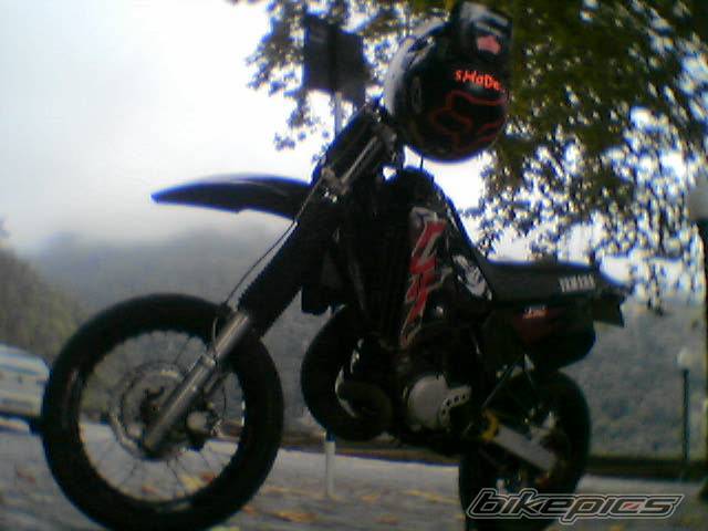 Photo 453523
