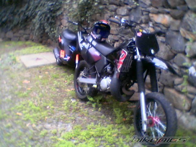 Photo 453525