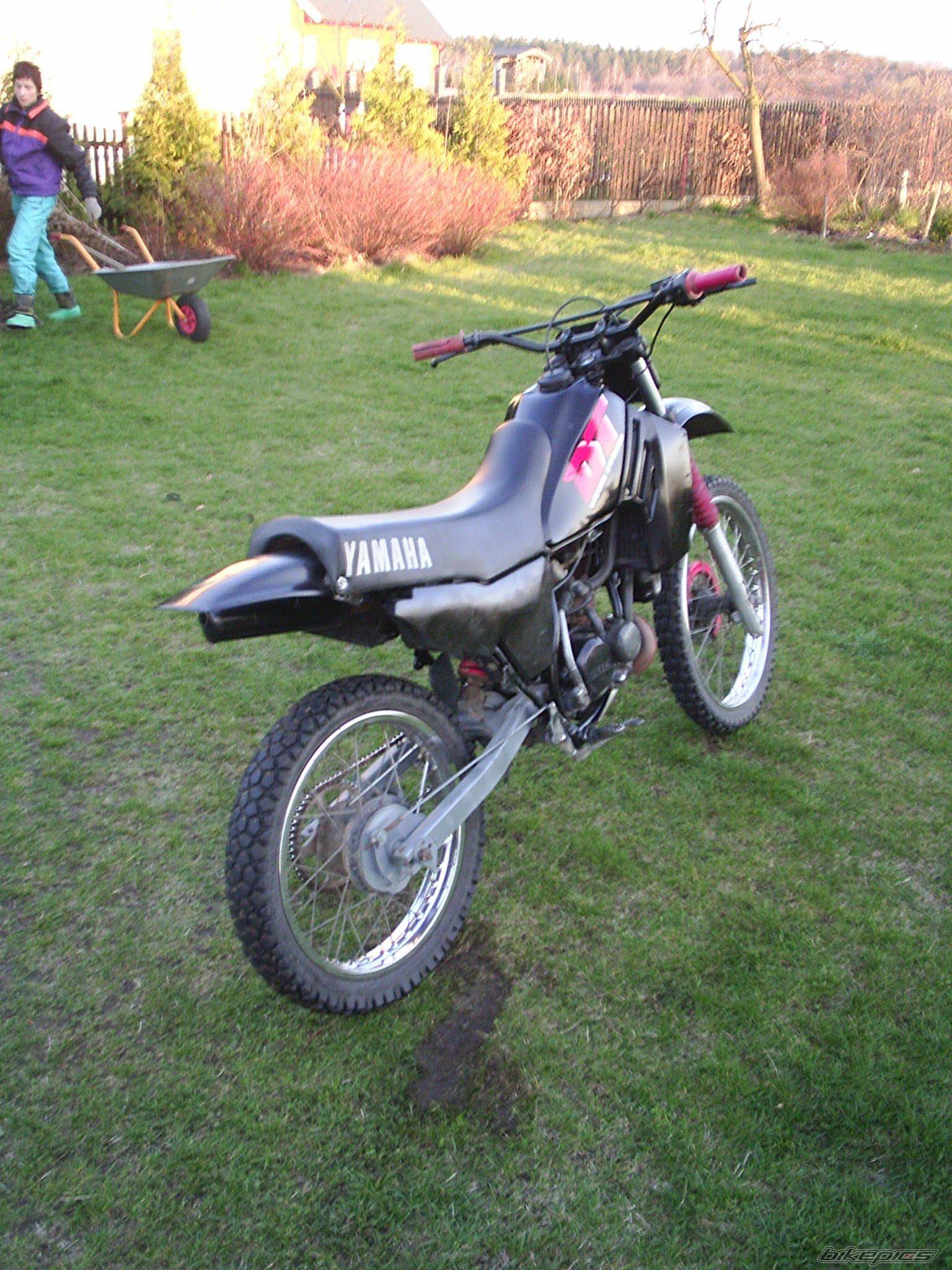Photo 453526