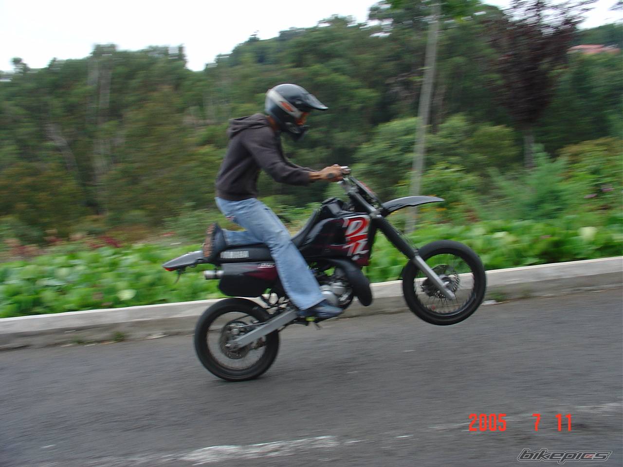 Photo 453528