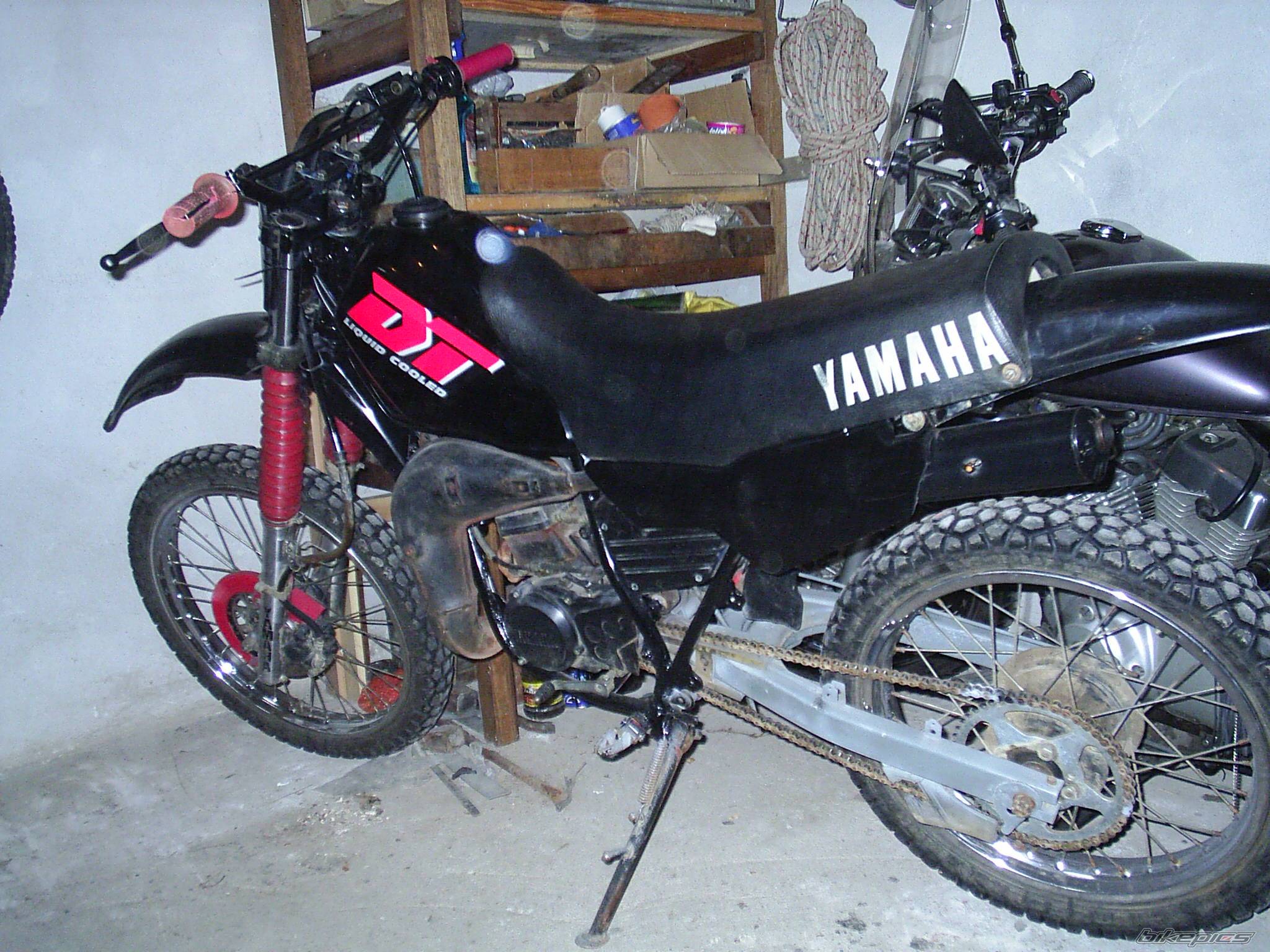 Photo 453529