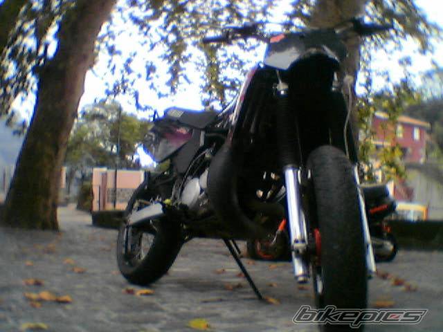 Photo 453531