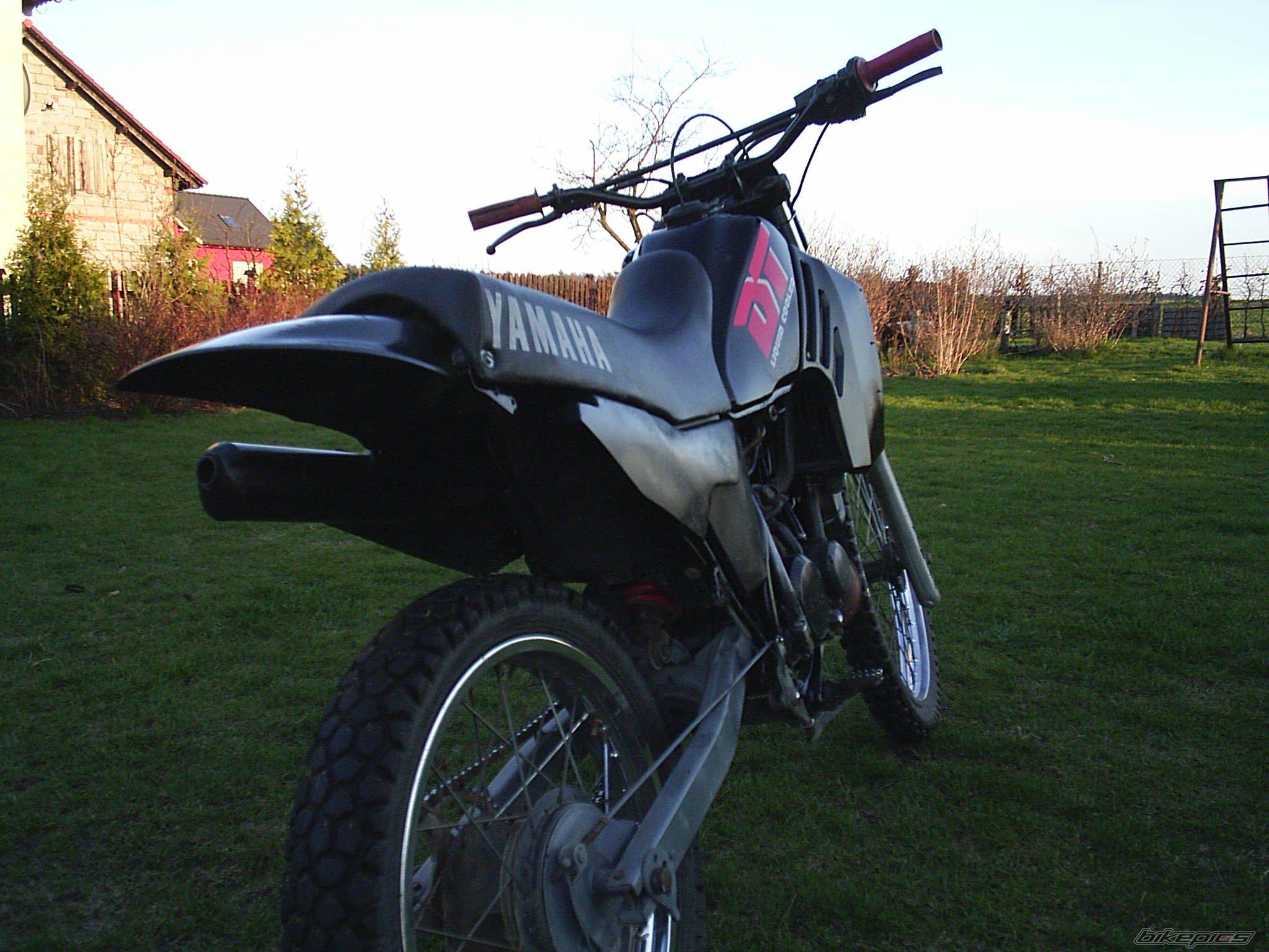 Photo 453536