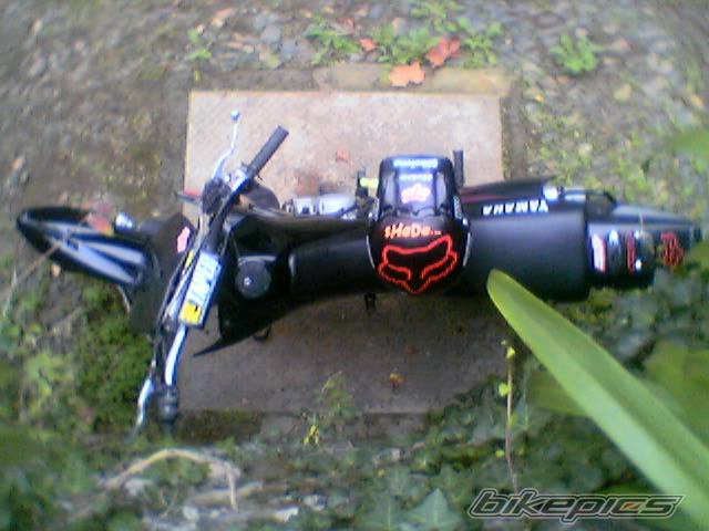 Photo 453537