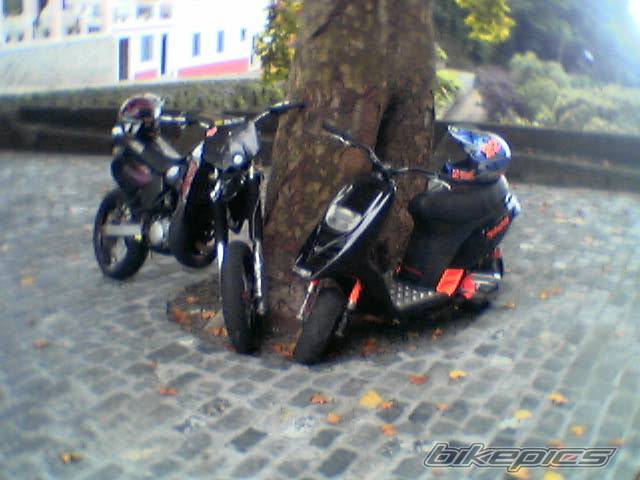 Photo 453538
