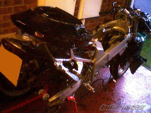 Photo 453586