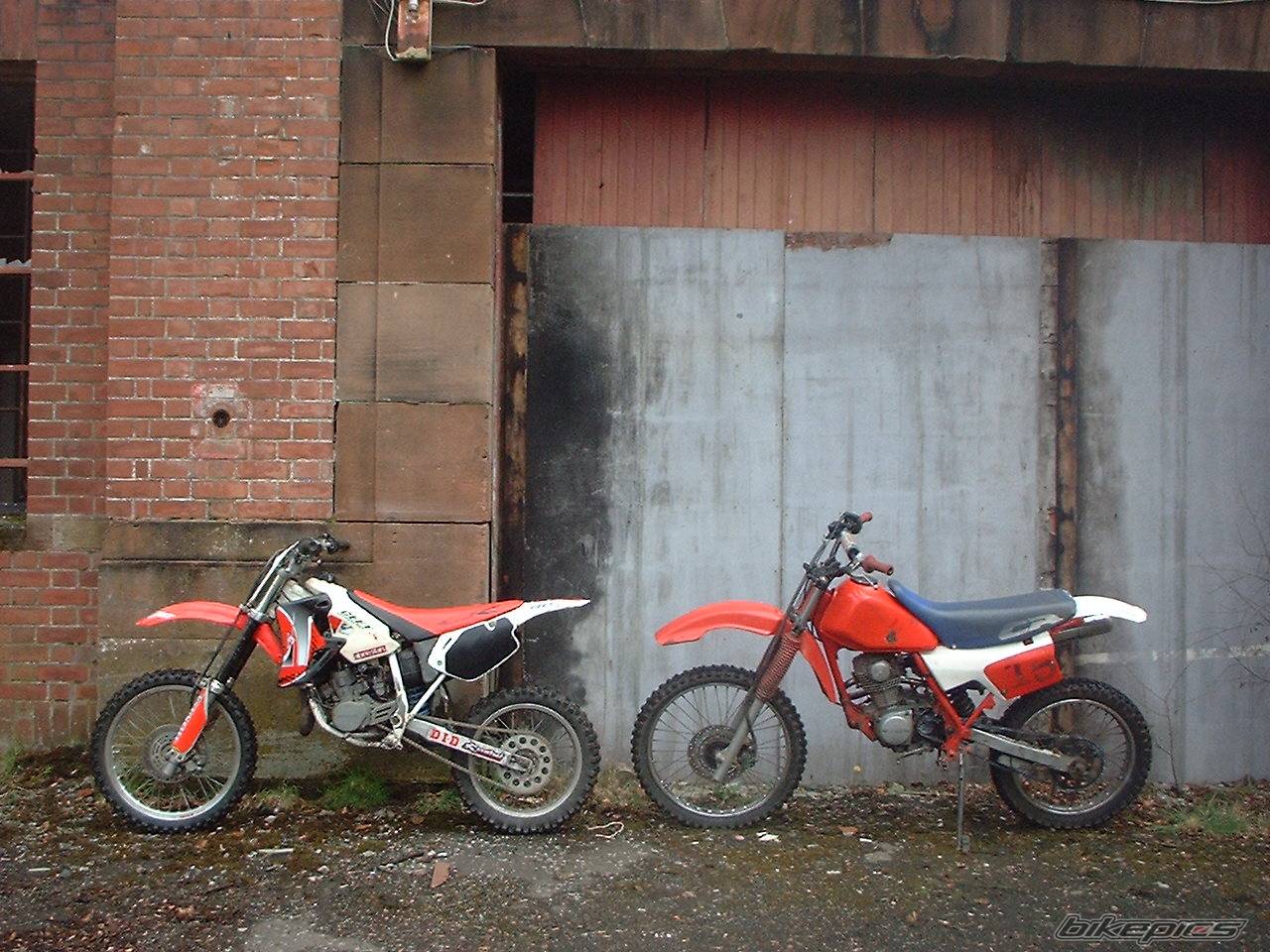 Photo 453637