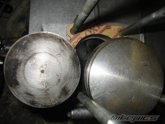 Photo 453671