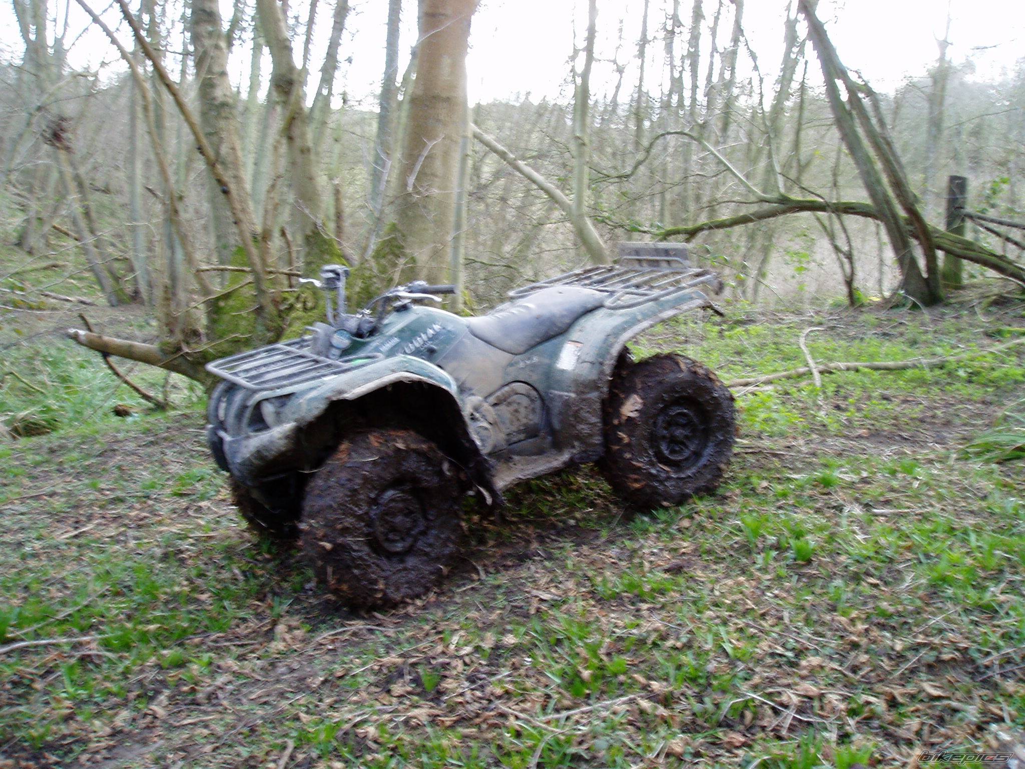 Photo 453773