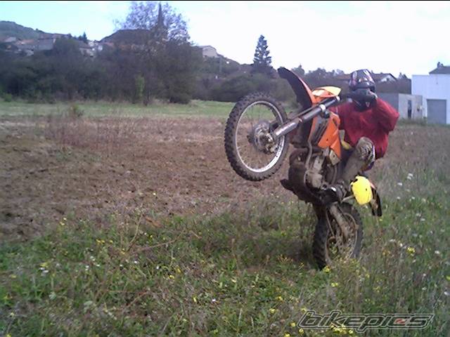 Photo 453861