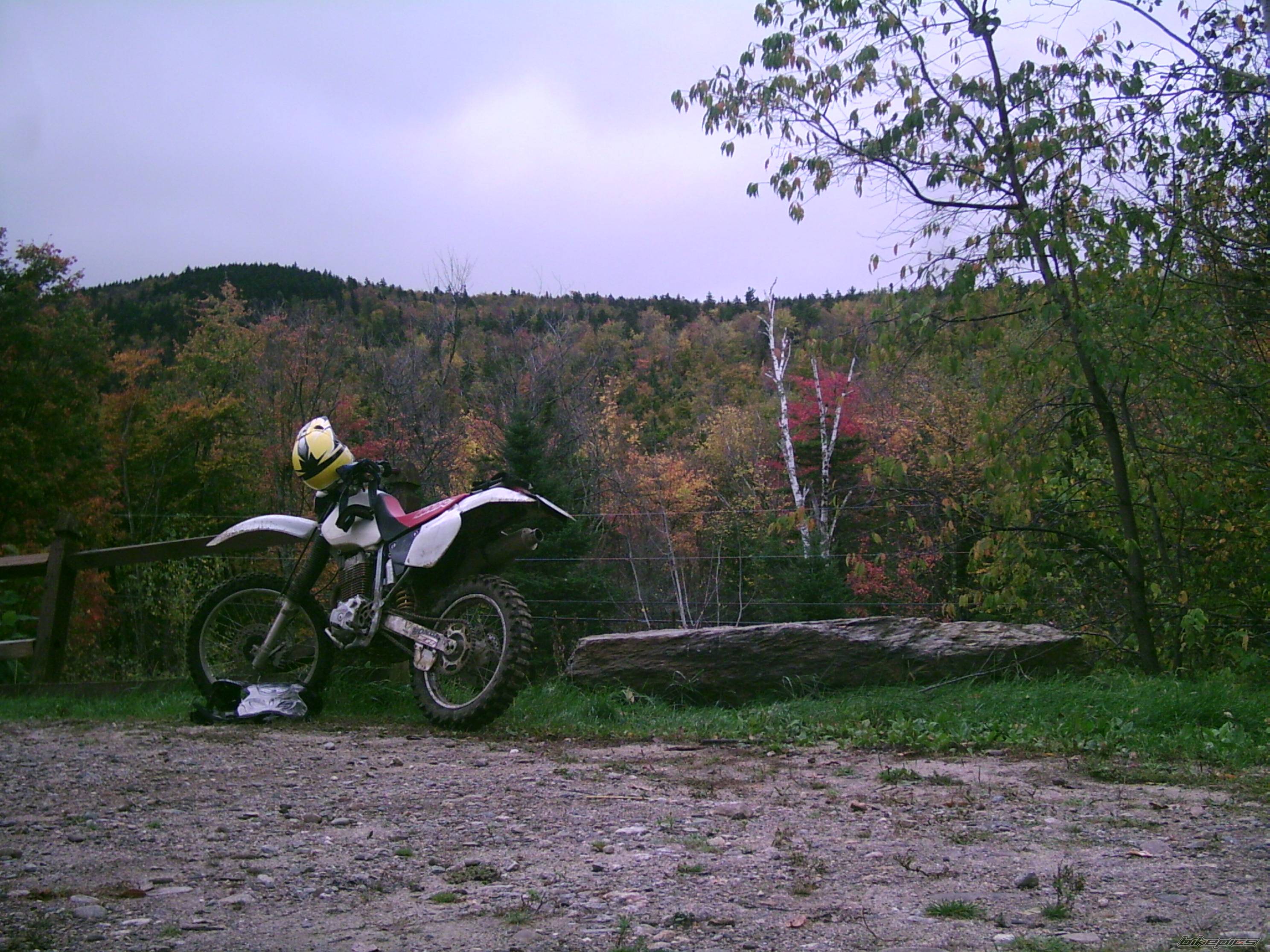 Photo 453905