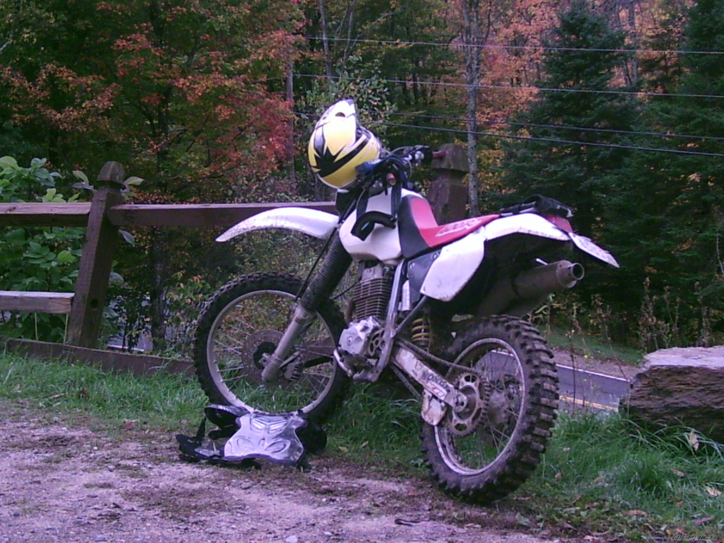 Photo 453906