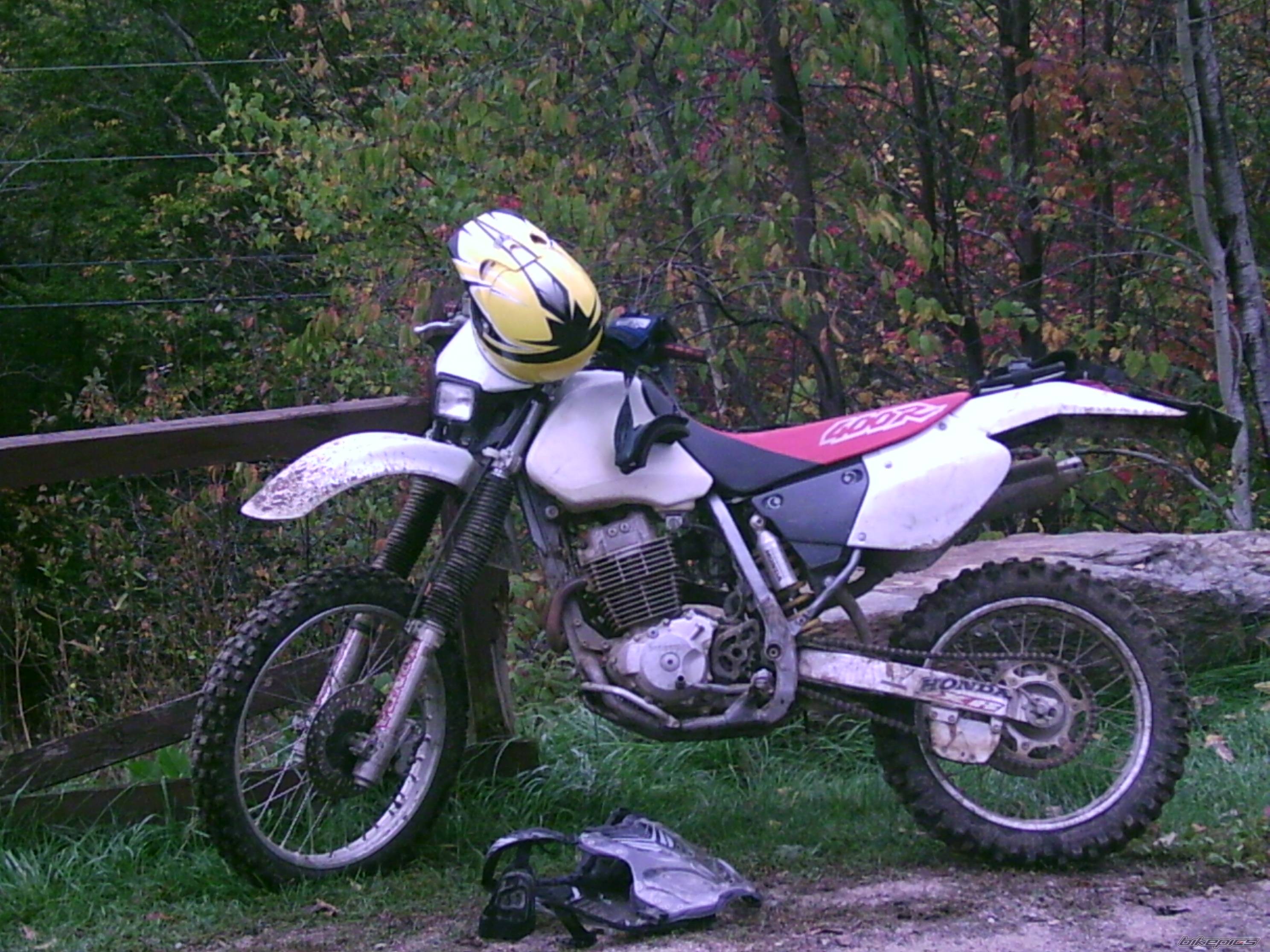 Photo 453907