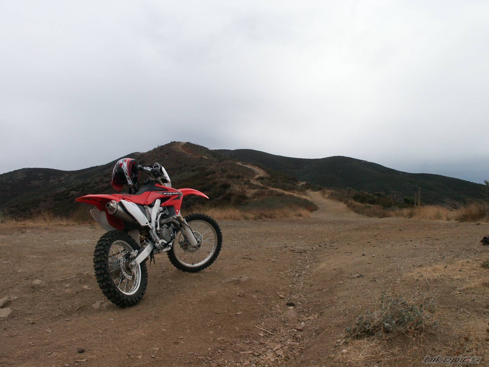Photo 453962