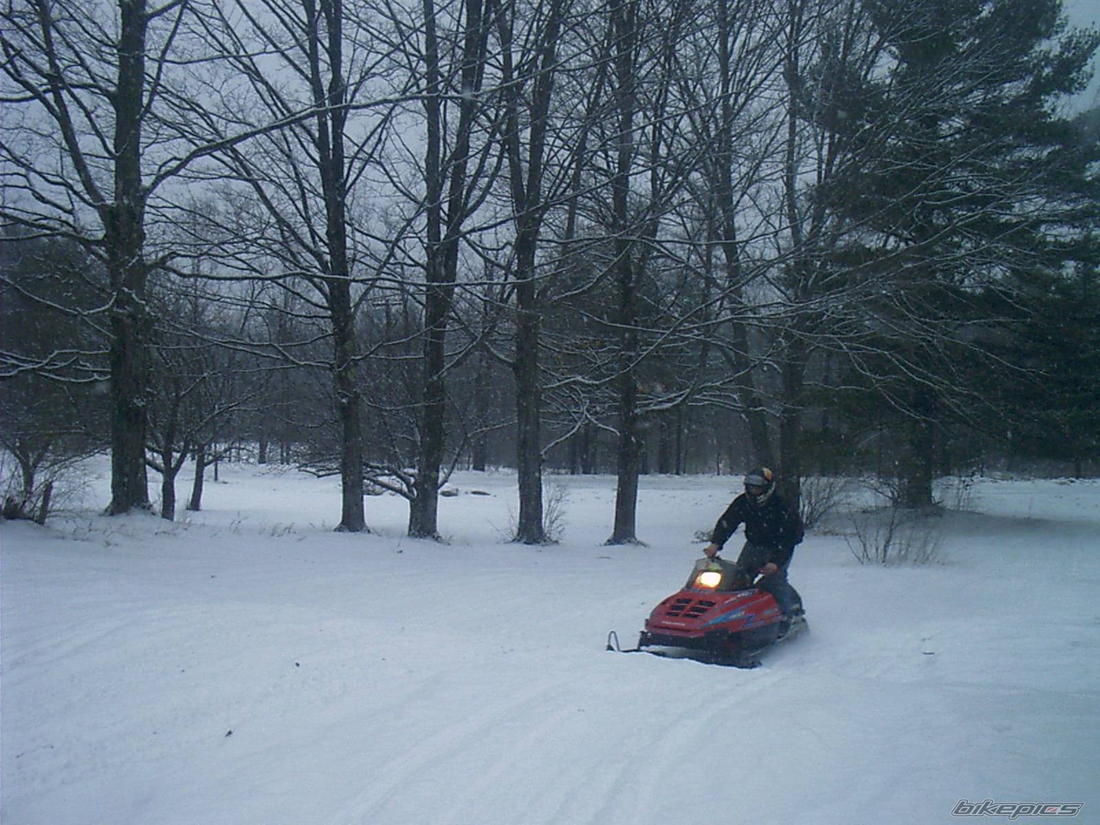 Photo 453971