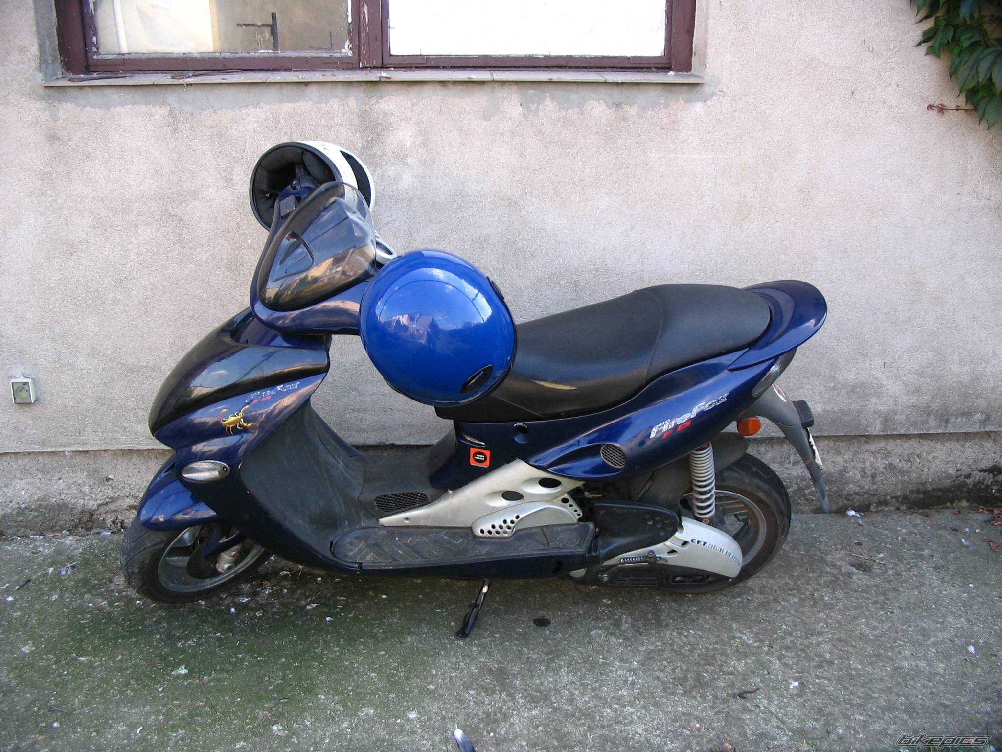 Photo 454079