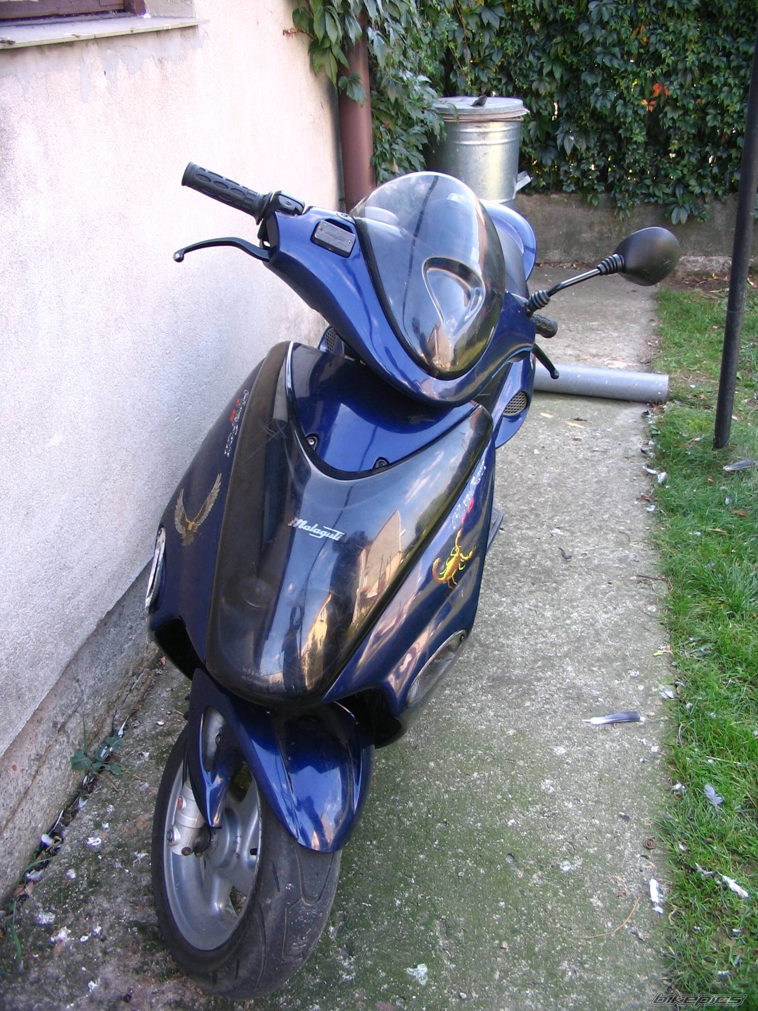 Photo 454081