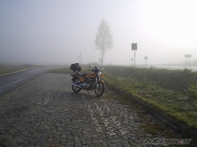 Photo 454171