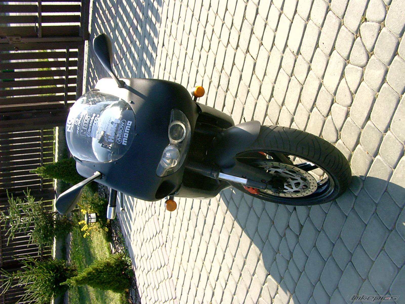 Photo 454285