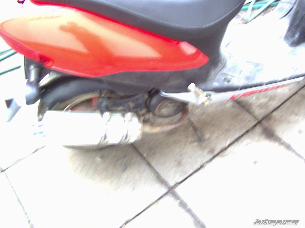 Photo 454318