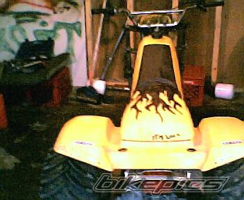 Photo 454365