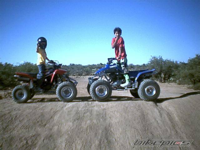 Photo 454501