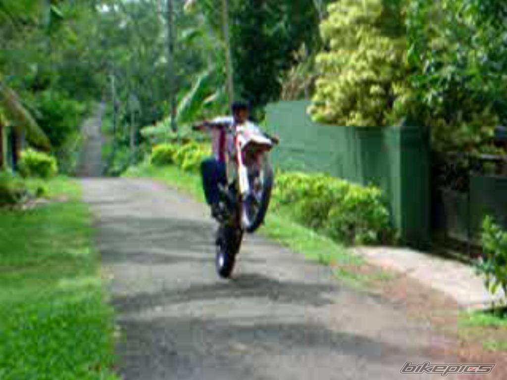 Bike Photo 454506