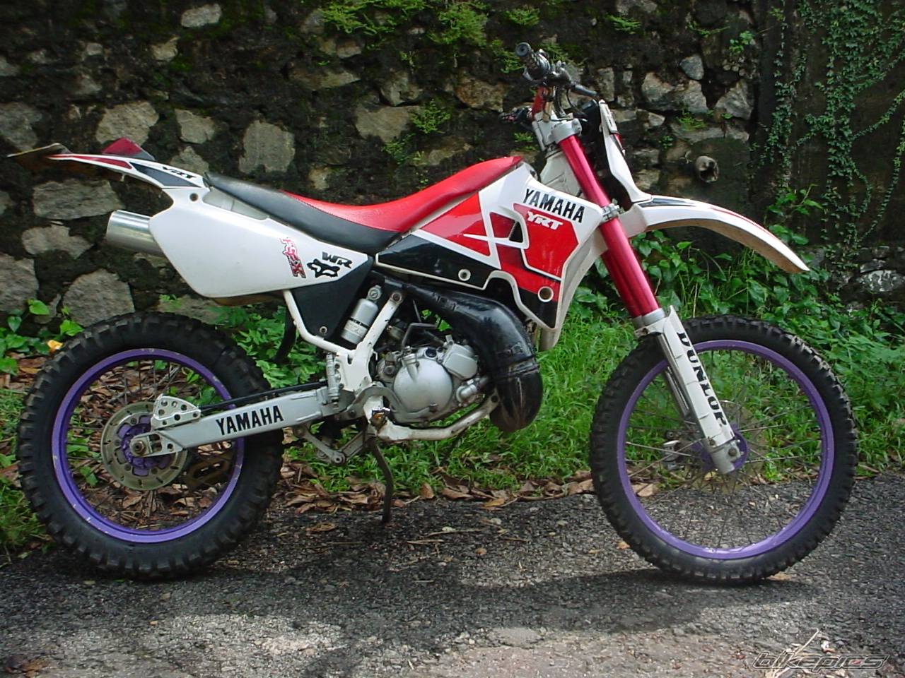 Bike Photo 454511