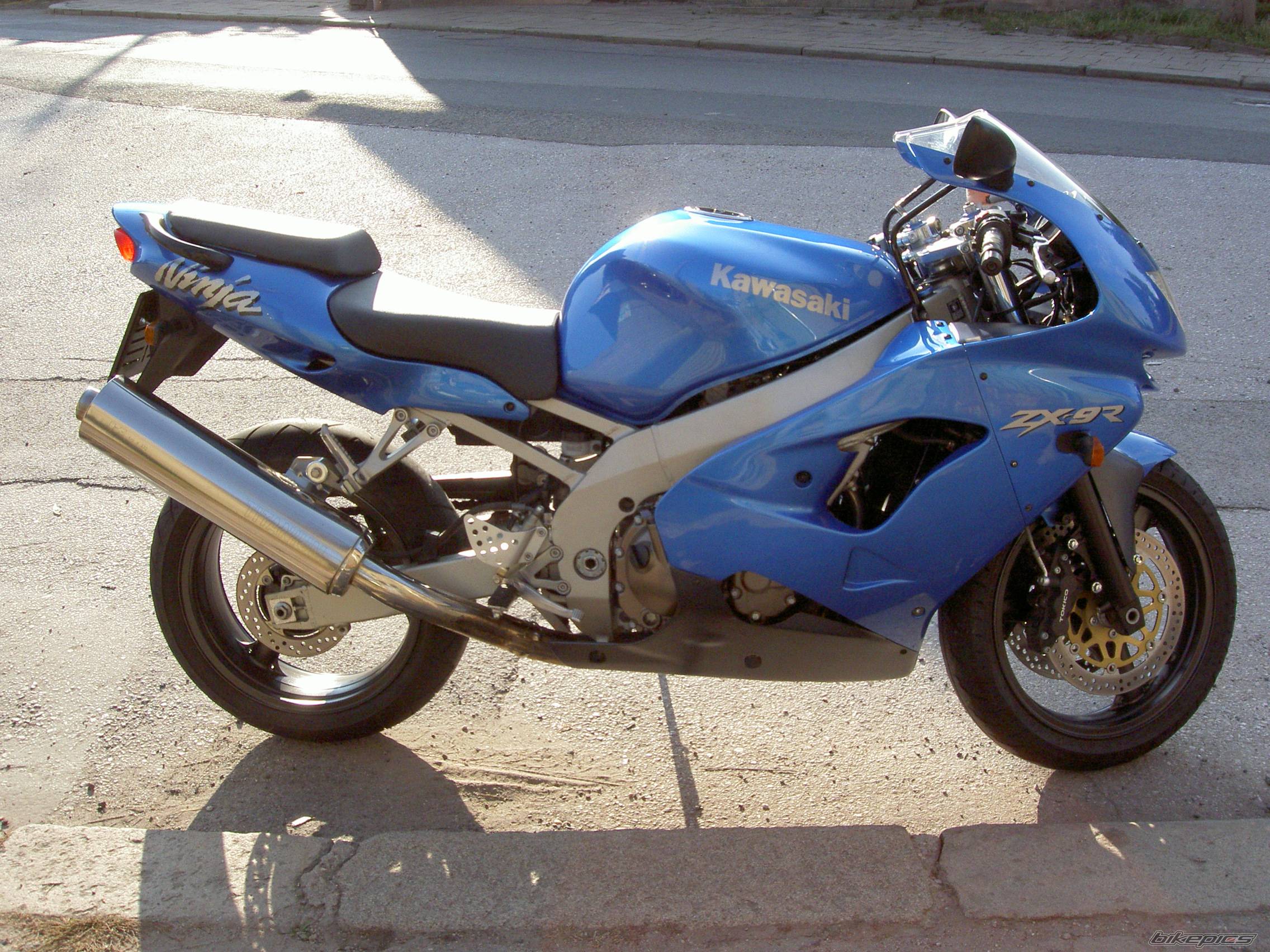 Photo 454526
