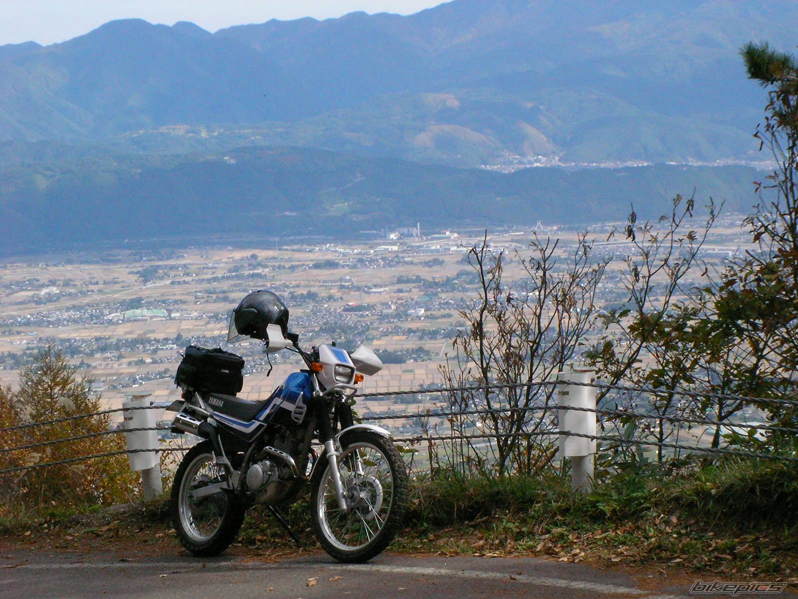 Photo 454582