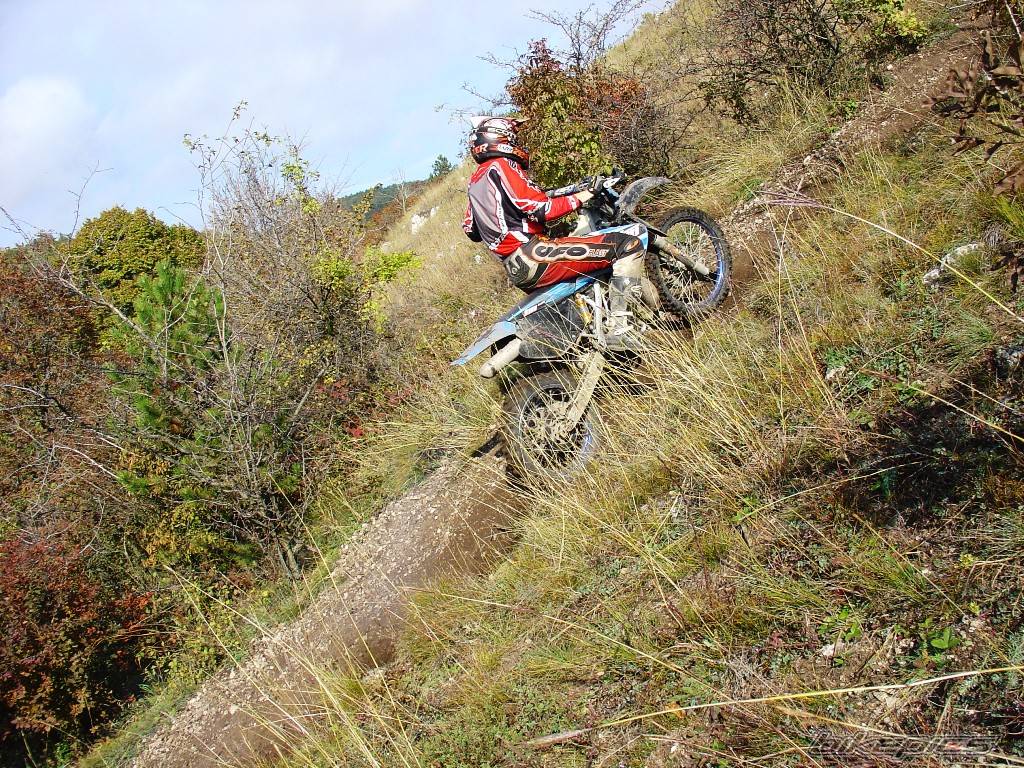 Bike Photo 454659