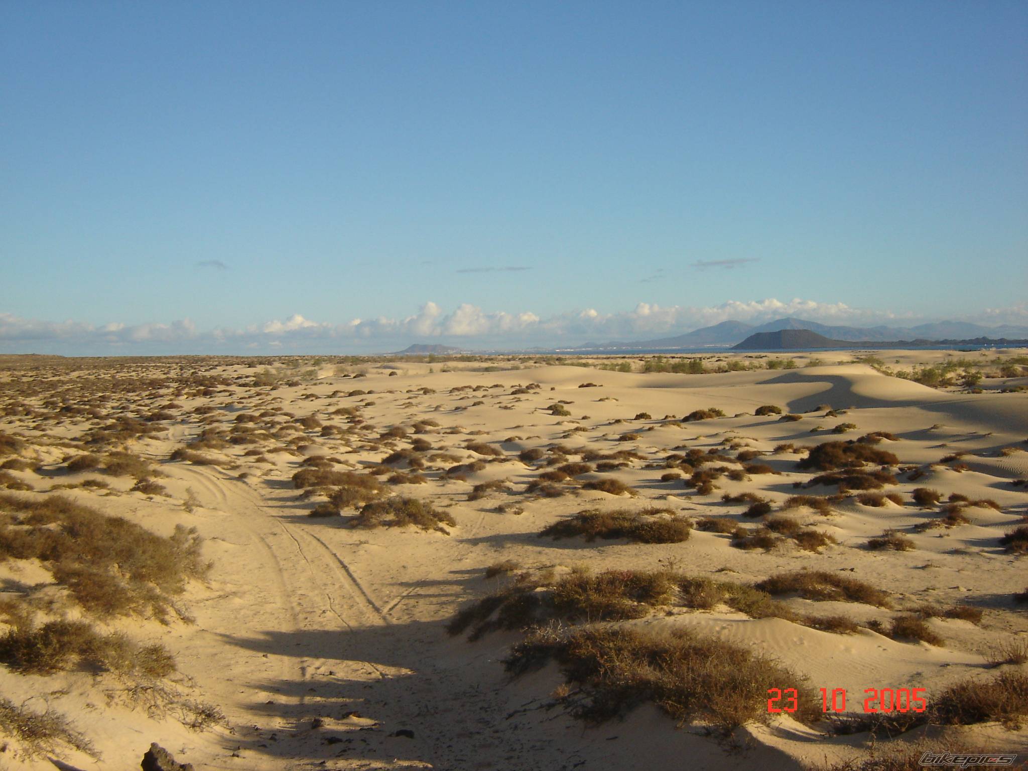 Photo 454721