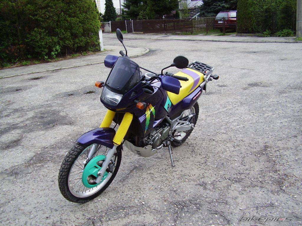 Photo 454741