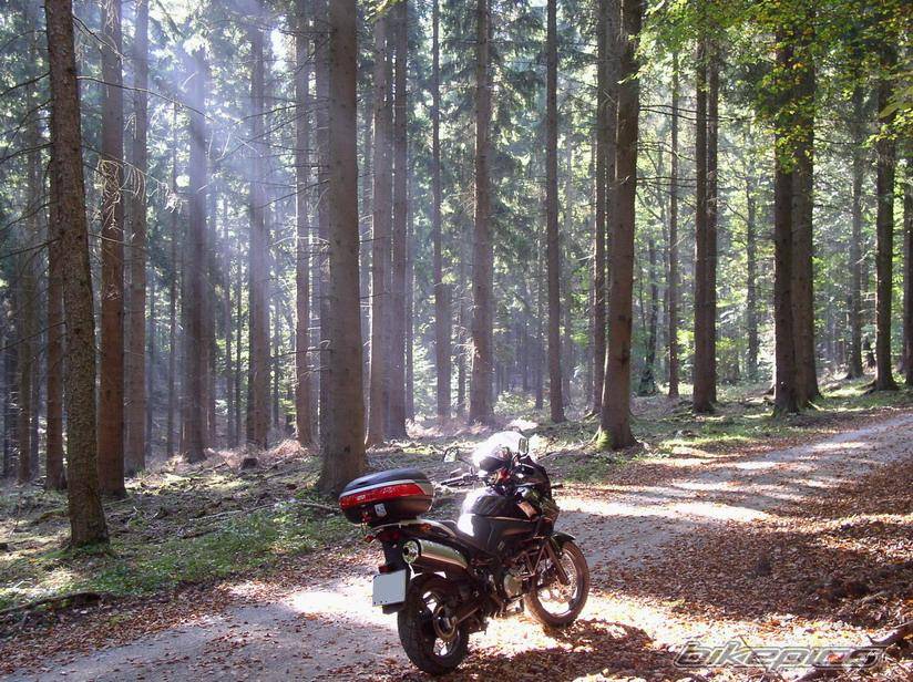 Bike Photo 454799