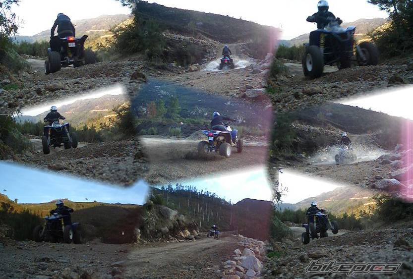 Photo 454878