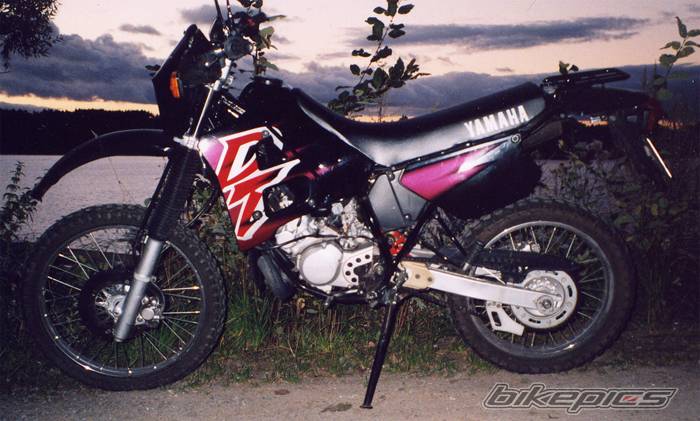 Photo 45489