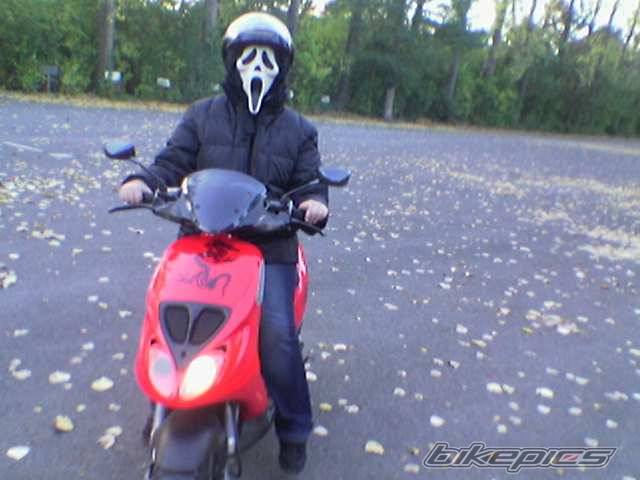 Photo 454942