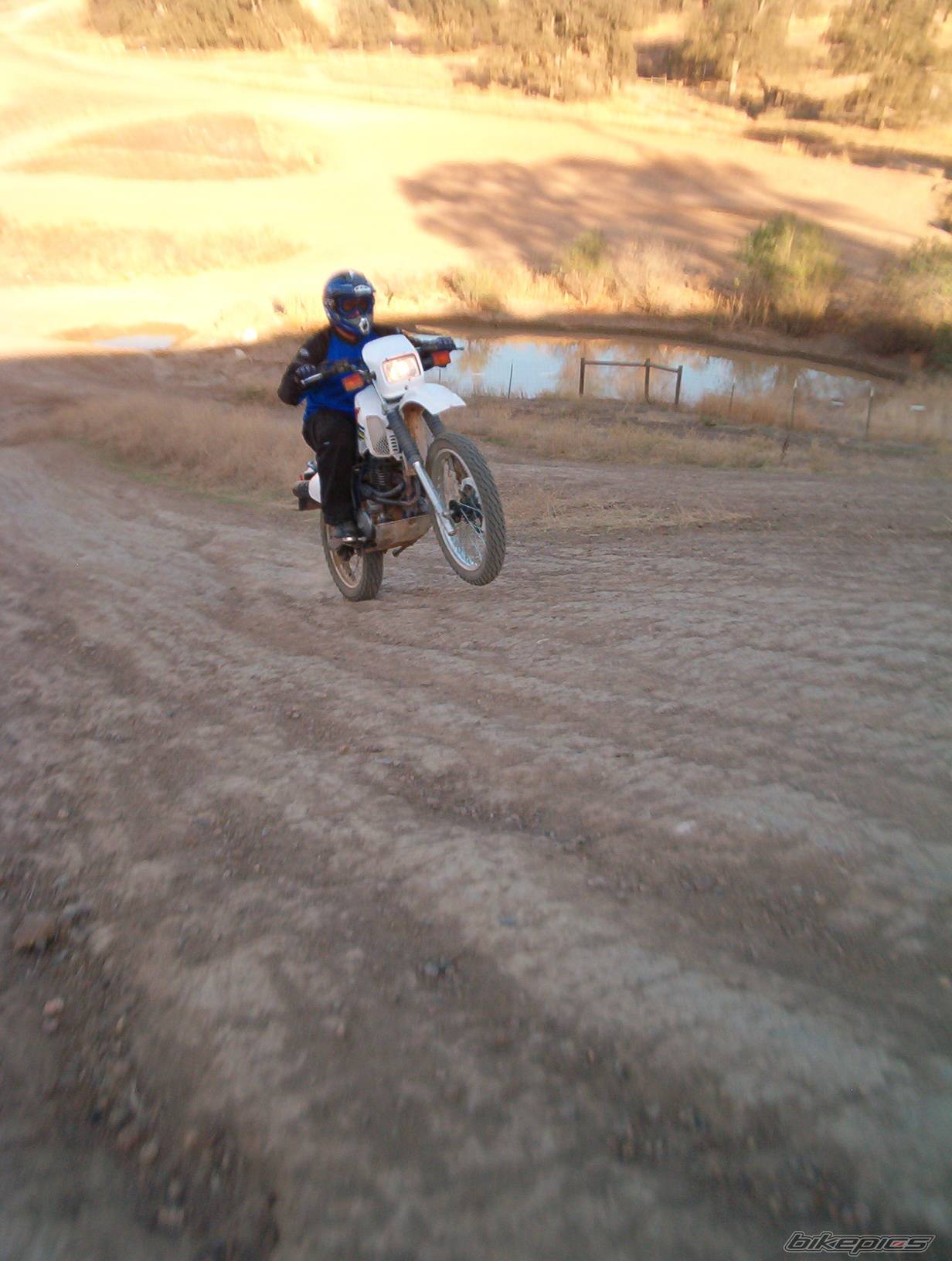Bike Photo 455085