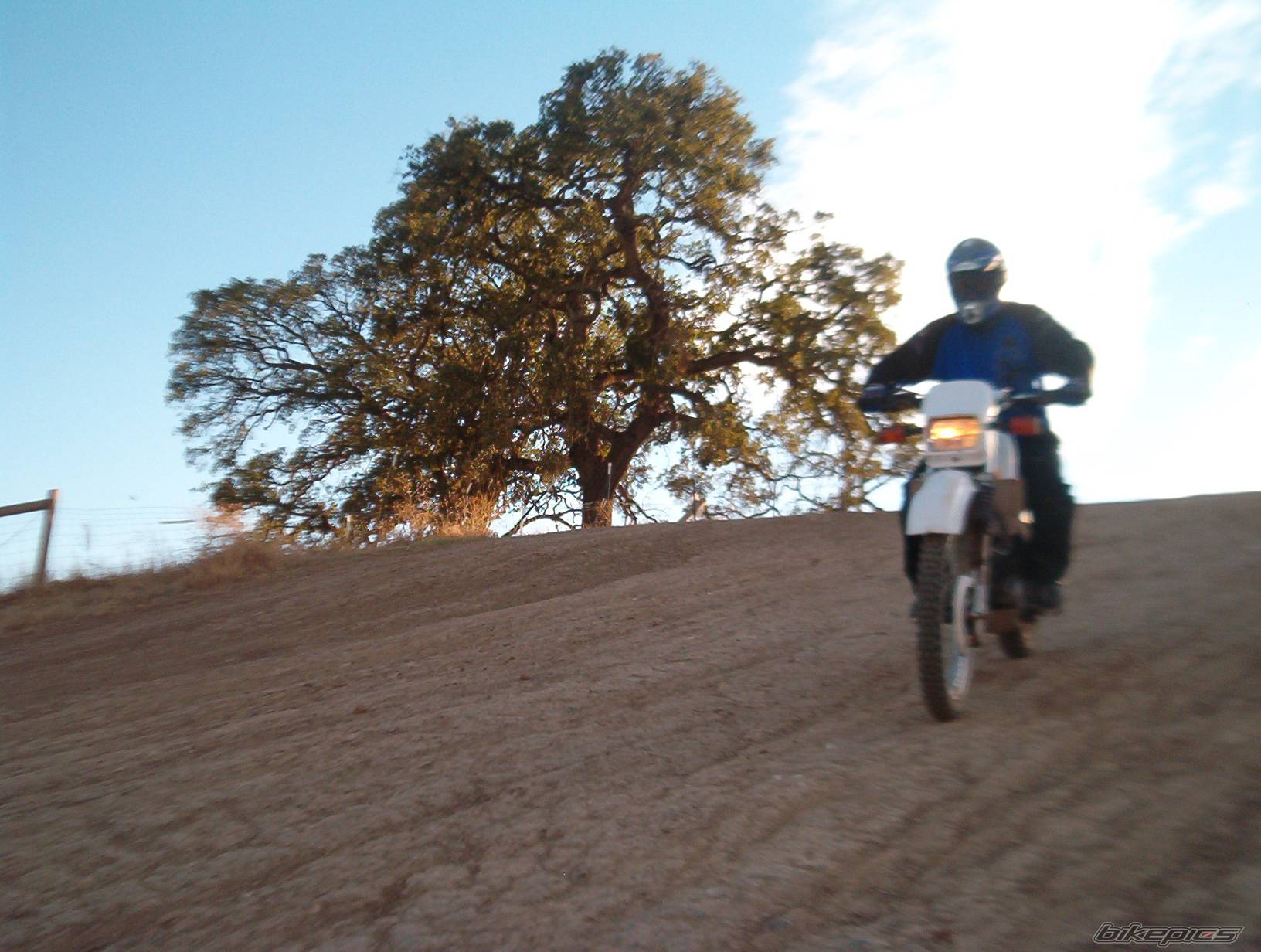 Bike Photo 455086