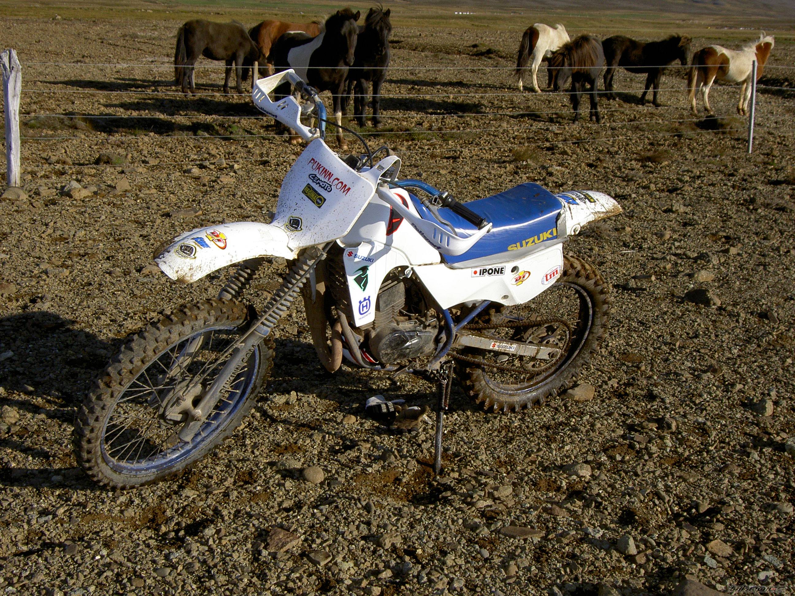 Photo 455314