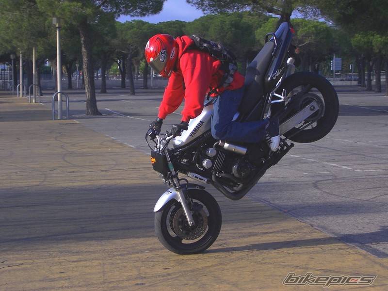 Bike Photo 455390