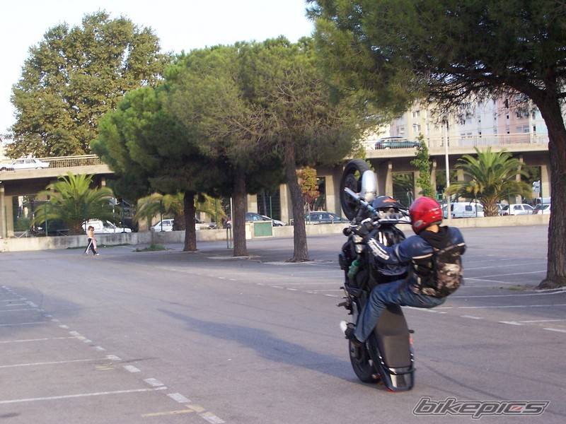 Bike Photo 455391