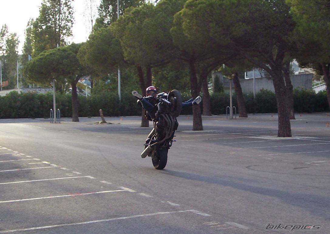 Bike Photo 455394